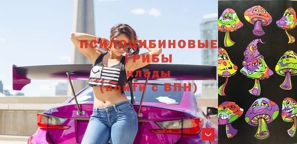дурь Алексеевка