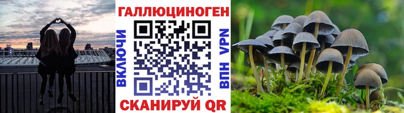 Псилоцибиновые грибы ЛСД  Красково 