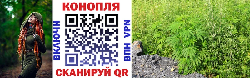 Бошки Шишки VHQ Красково